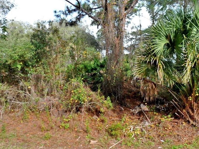 Alfalfa Ave, North Port, FL 34291 - photo 4