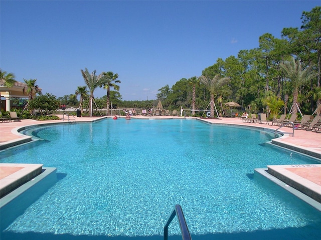 242 Pesaro Dr, North Venice, FL 34275 - photo 83