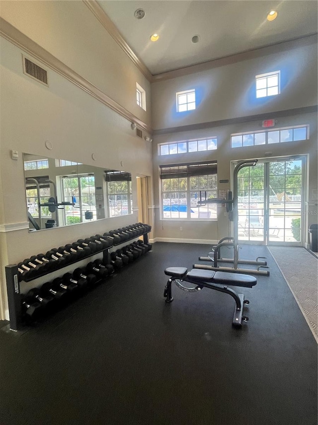 12215 Goldenrod Ave, Bradenton, FL 34212 - exercise room featuring healthy amount of natural light, ornamental molding, a high ceiling, and recessed lighting