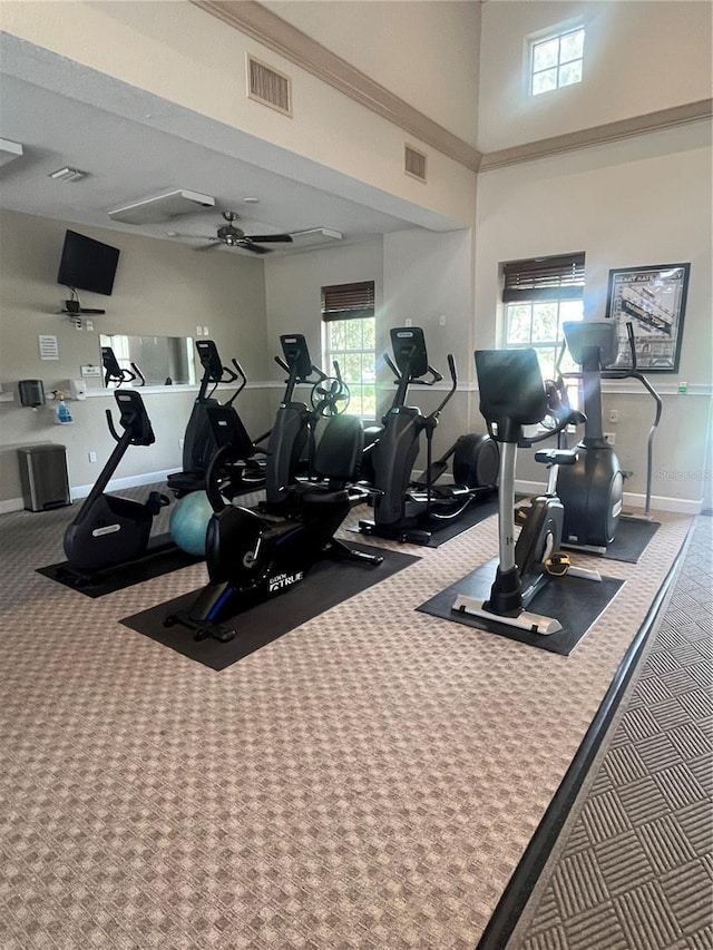 12215 Goldenrod Ave, Bradenton, FL 34212 - exercise room featuring carpet, healthy amount of natural light, ceiling fan, and a high ceiling