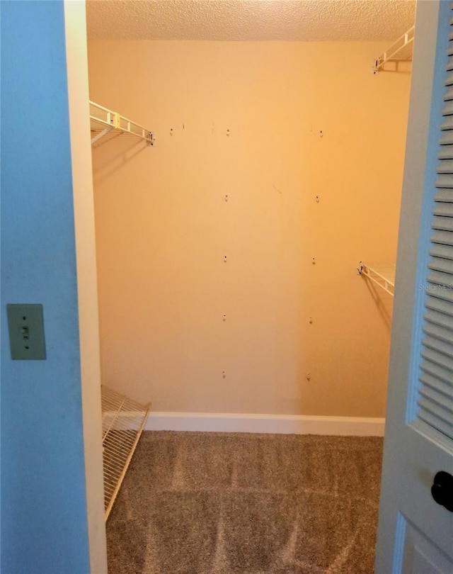 515 30th Ave W Unit H401, Bradenton, FL 34205 - walk in closet with carpet floors