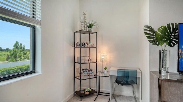 15160 Lyla Ter, Bradenton, FL 34211 - detailed view of baseboards