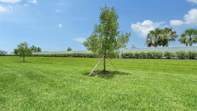 15160 Lyla Ter, Bradenton, FL 34211 - view of yard