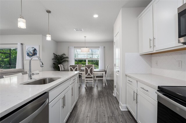 9144 Royal River Cir, Parrish, FL 34219 - kitchen with appliances with stainless steel finishes, white cabinets, dark wood finished floors, decorative backsplash, and pendant lighting