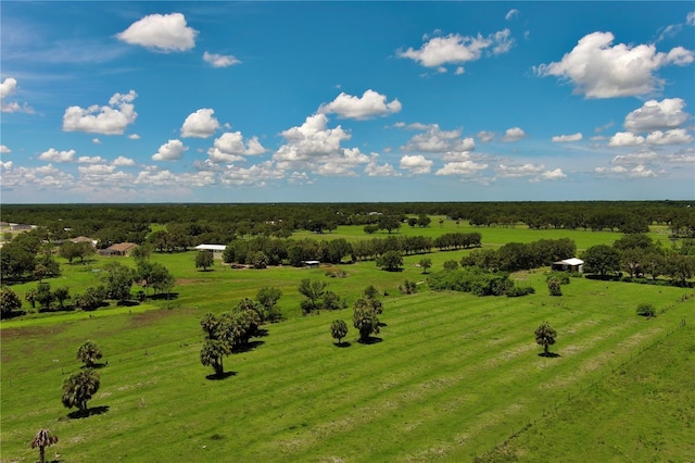 15820 County Road 675, Parrish, FL 34219 - photo 4