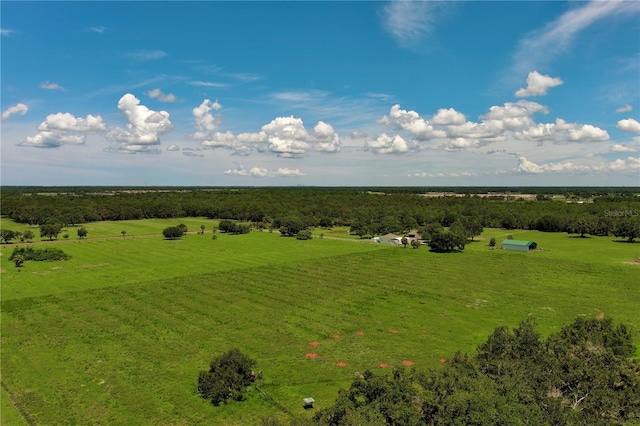 15820 County Road 675, Parrish, FL 34219 - photo 5