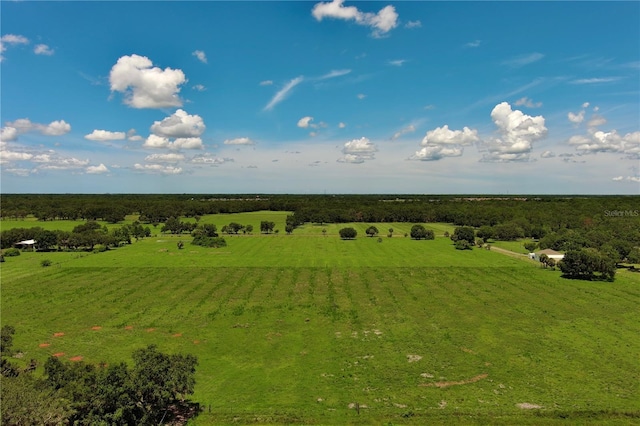 15820 County Road 675, Parrish, FL 34219 - photo 6