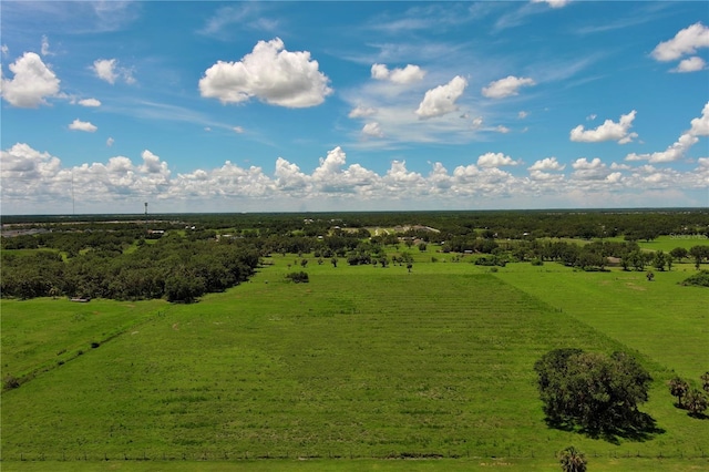 15820 County Road 675, Parrish, FL 34219 - photo 8