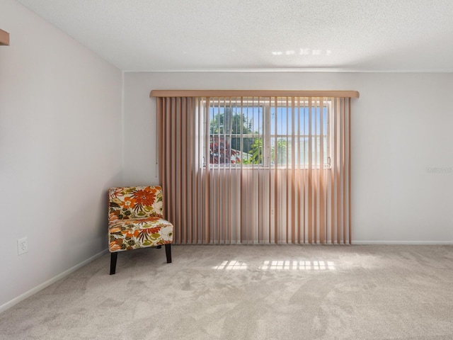 6023 Hibiscus Dr Unit 177, Bradenton, FL 34207 - photo 12