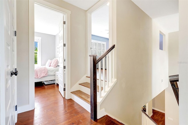 1906 143rd Ct E, Bradenton, FL 34212 - stairs with hardwood / wood-style floors and baseboards