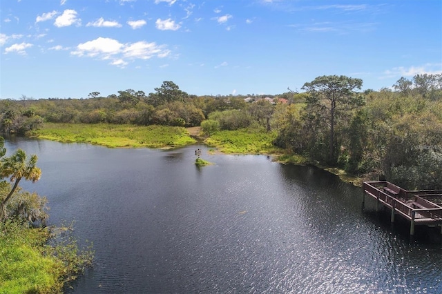 5850 Saddle Ct, Sarasota, FL 34243 - photo 41