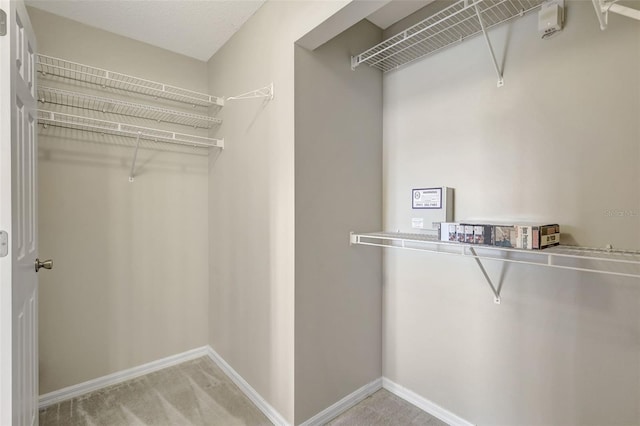 4539 Cabbage Key Ter, Bradenton, FL 34203 - walk in closet with carpet floors