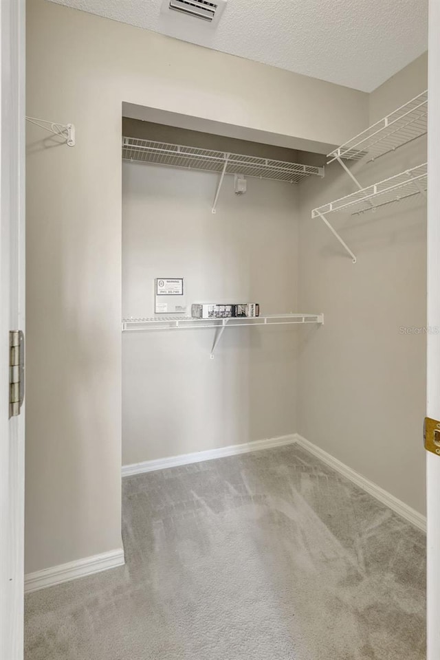 4539 Cabbage Key Ter, Bradenton, FL 34203 - spacious closet featuring carpet floors