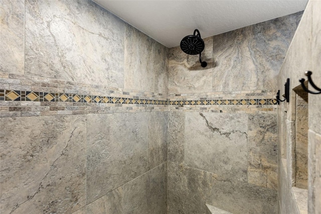 6118 56th Ter E, Bradenton, FL 34203 - bathroom view of tiled shower