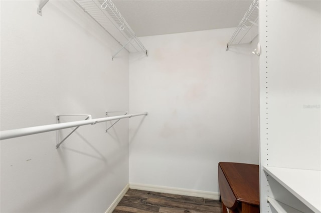 6118 56th Ter E, Bradenton, FL 34203 - spacious closet featuring dark wood-style flooring