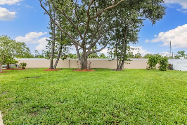6118 56th Ter E, Bradenton, FL 34203 - view of yard