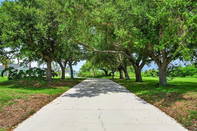 2555 Pear St, Port Charlotte, FL 33948 - view of community featuring driveway and a lawn