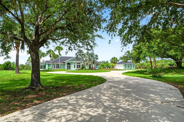 2555 Pear St, Port Charlotte, FL 33948 - view of front of property with curved driveway and a front yard