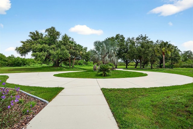2555 Pear St, Port Charlotte, FL 33948 - view of community featuring a yard