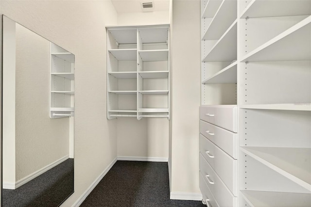 2555 Pear St, Port Charlotte, FL 33948 - walk in closet with dark colored carpet