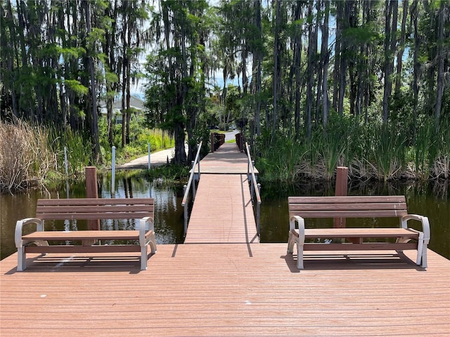 1821 Hammocks Ave Unit 1821, Lutz, FL 33549 - photo 32