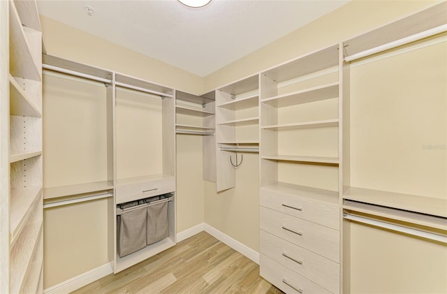 1226 Riverscape St, Bradenton, FL 34208 - spacious closet featuring light wood-style floors