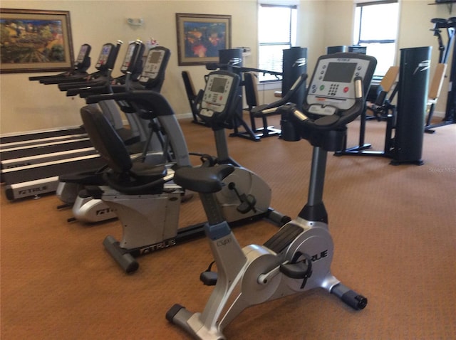 8397 38th Street Cir E Unit 305, Sarasota, FL 34243 - gym featuring carpet flooring
