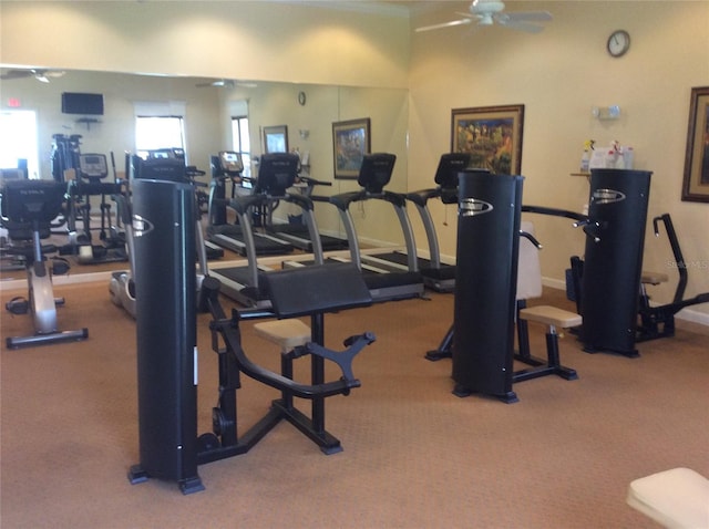 8397 38th Street Cir E Unit 305, Sarasota, FL 34243 - workout area with ceiling fan and carpet