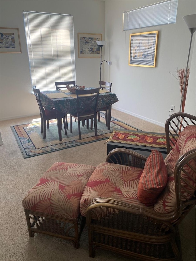8397 38th Street Cir E Unit 305, Sarasota, FL 34243 - carpeted dining room featuring baseboards