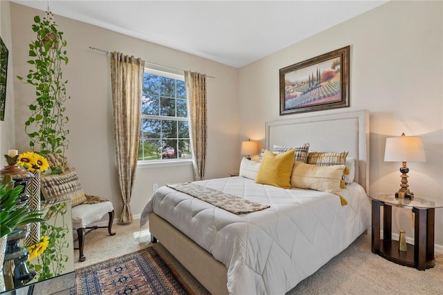 5313 Halewood Ct, Lakewood Ranch, FL 34211 - carpeted bedroom with baseboards