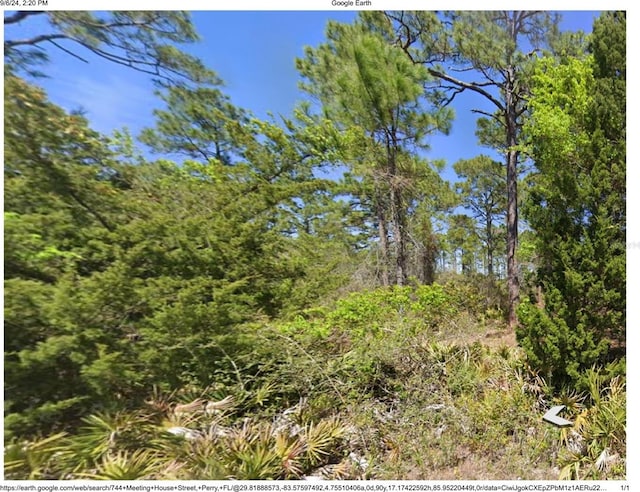 744 Meeting House Rd, Perry, FL 32348