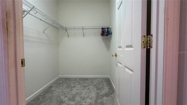 8228 Simpson Falls Ct, Sarasota, FL 34243 - photo 15