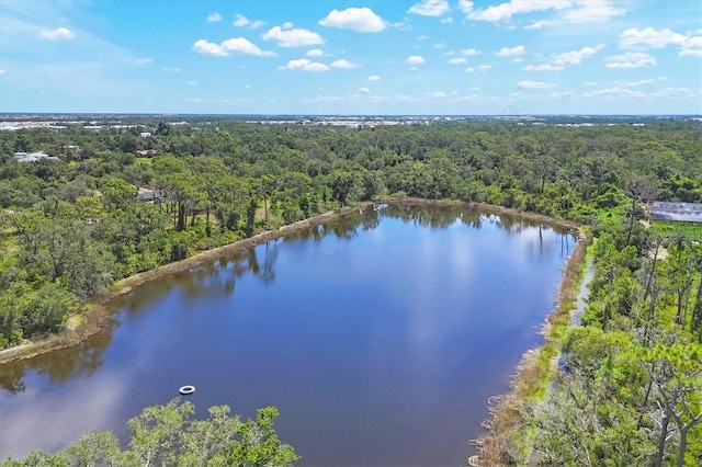 25713 Boysen Berry Ave, Englewood, FL 34223 - photo 36