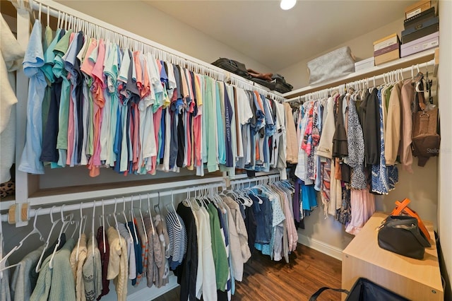 636 Meadow Lake Dr, Freeport, FL 32439 - walk in closet featuring wood finished floors