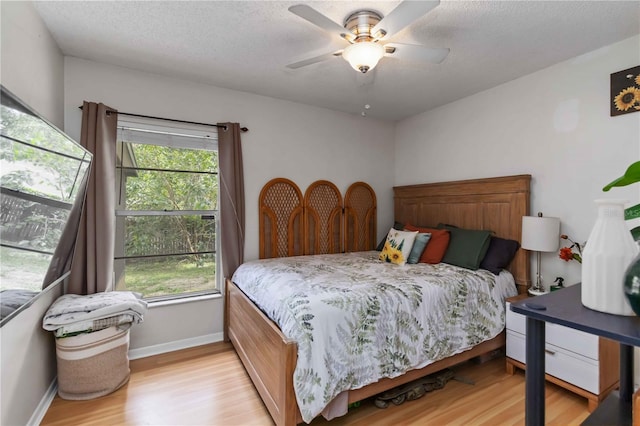 616 Bryan Terrace Dr, Brandon, FL 33511 - bedroom with light wood-type flooring, multiple windows, a ceiling fan, and a textured ceiling