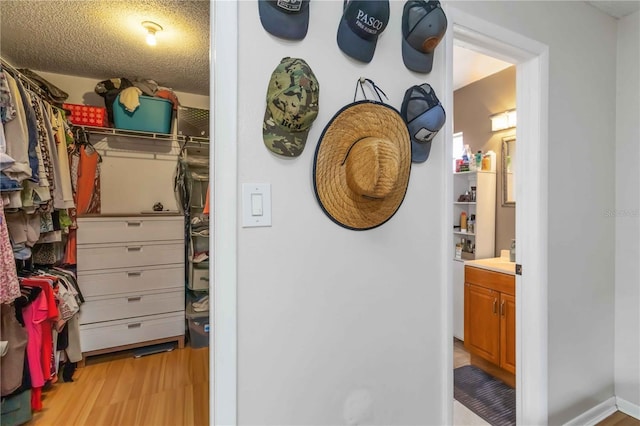 616 Bryan Terrace Dr, Brandon, FL 33511 - walk in closet with light wood-style floors