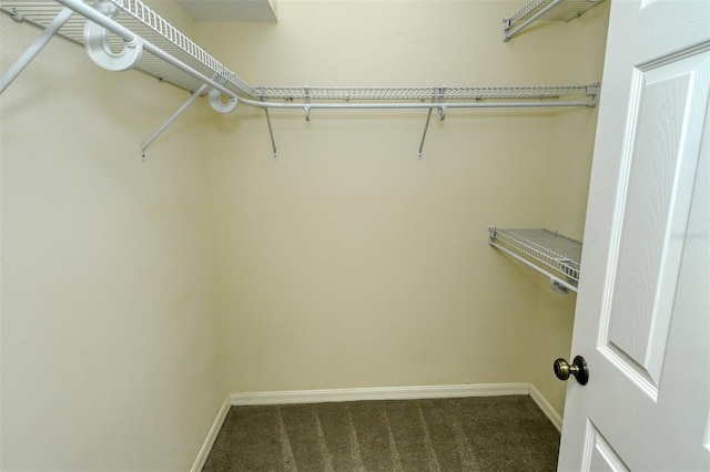 6344 Rookery Cir, Bradenton, FL 34203 - photo 36