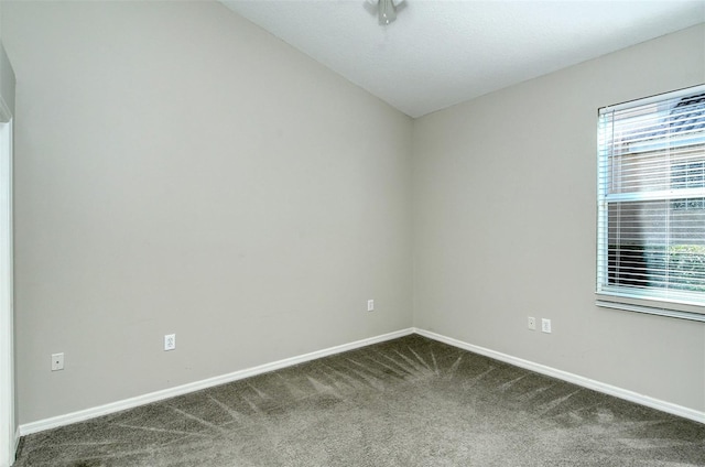 6344 Rookery Cir, Bradenton, FL 34203 - photo 39