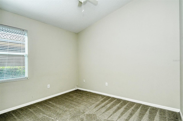 6344 Rookery Cir, Bradenton, FL 34203 - photo 43