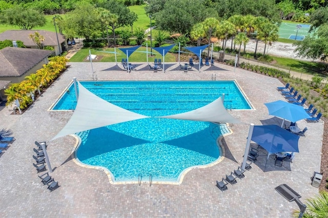 14611 Leopard Creek Pl, Lakewood Ranch, FL 34202 - community pool with a patio