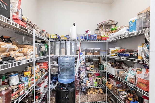 4316 Rustling Pines Ter, Parrish, FL 34219 - view of pantry
