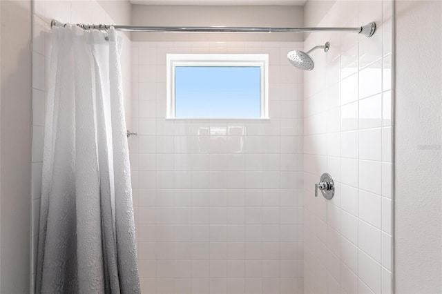 4316 Rustling Pines Ter, Parrish, FL 34219 - bathroom with tiled shower