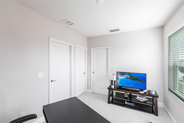 4316 Rustling Pines Ter, Parrish, FL 34219 - interior space with light carpet