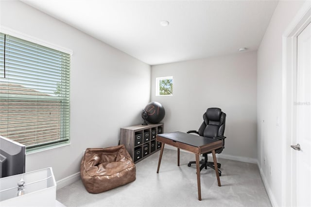 4316 Rustling Pines Ter, Parrish, FL 34219 - photo 43