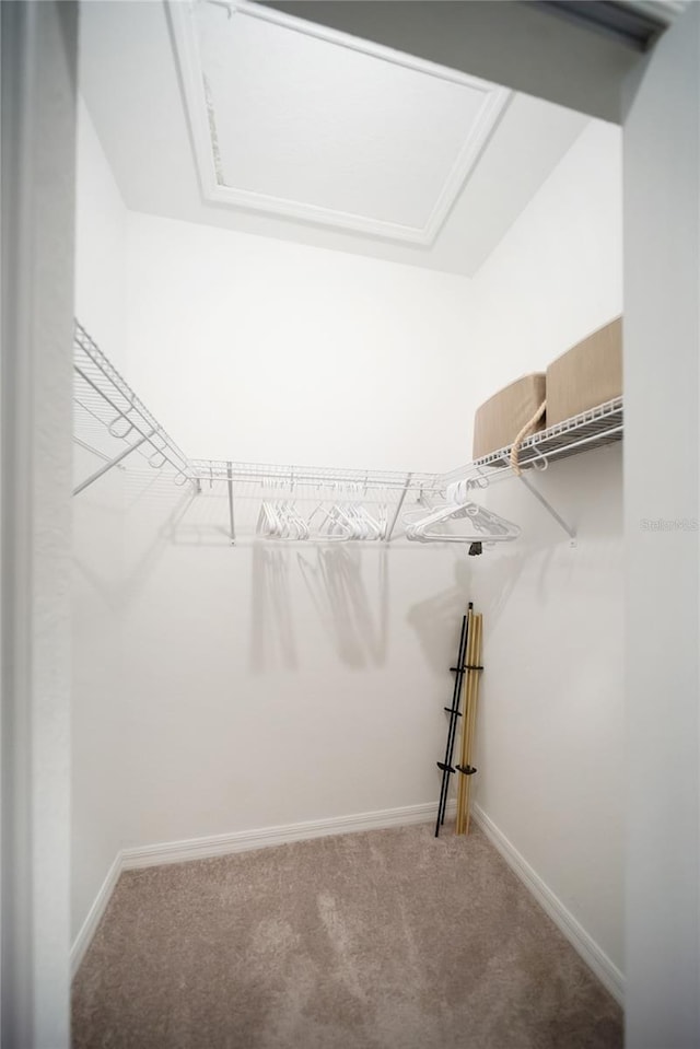 12140 Wellen Golf St Unit 402, Venice, FL 34293 - photo 57