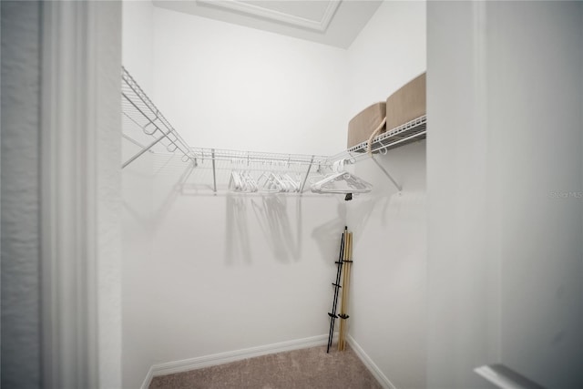 12140 Wellen Golf St Unit 402, Venice, FL 34293 - photo 58
