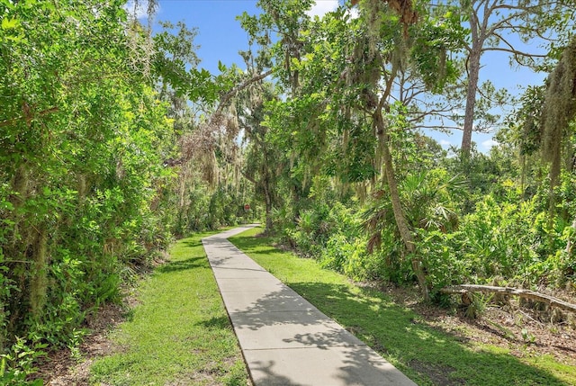 5427 Napa Dr, Sarasota, FL 34243 - view of community with a yard and a forest view