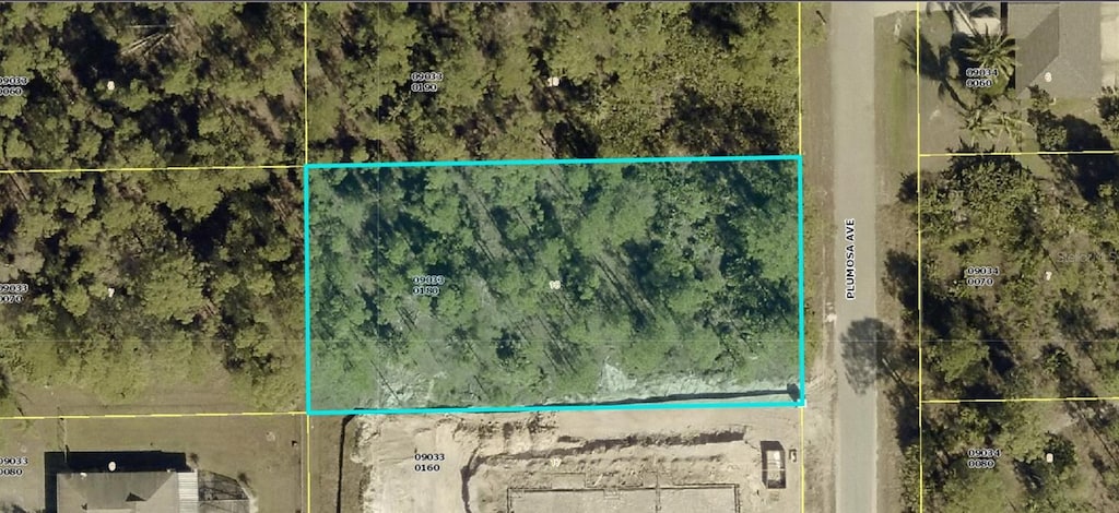 1011 Plumosa Ave, Lehigh Acres, FL 33972 - photo 1