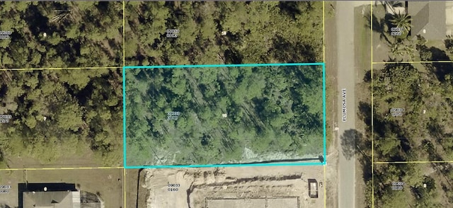 1011 Plumosa Ave, Lehigh Acres, FL 33972 - photo 1