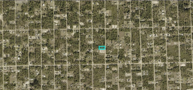 1011 Plumosa Ave, Lehigh Acres, FL 33972 - photo 3